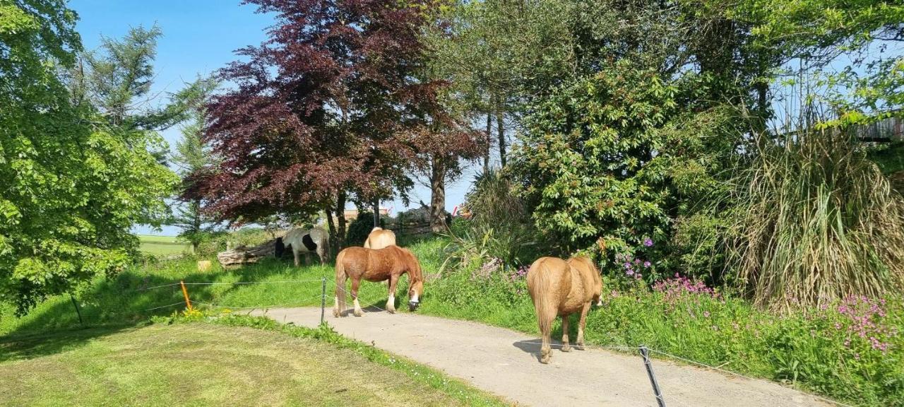 No 4 Trelawney Apartment - Onsite Bar - Restaurant - Horse Riding Menheniot المظهر الخارجي الصورة
