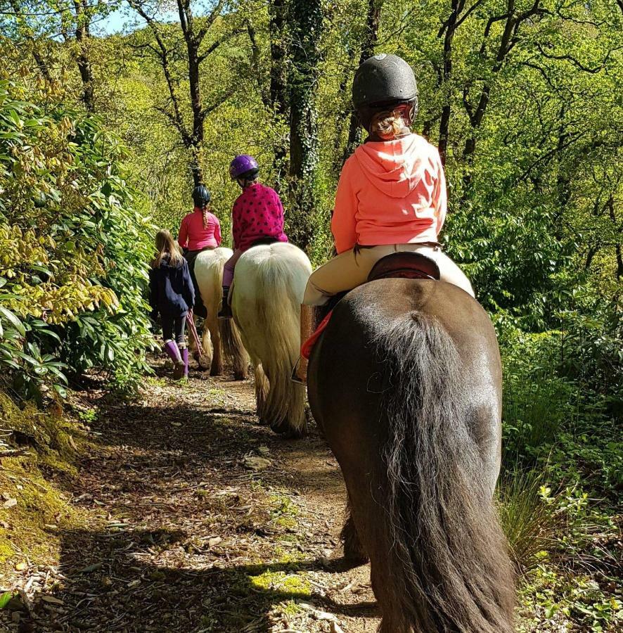 No 4 Trelawney Apartment - Onsite Bar - Restaurant - Horse Riding Menheniot المظهر الخارجي الصورة